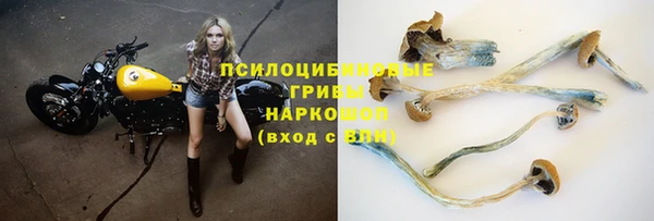jwh Алзамай