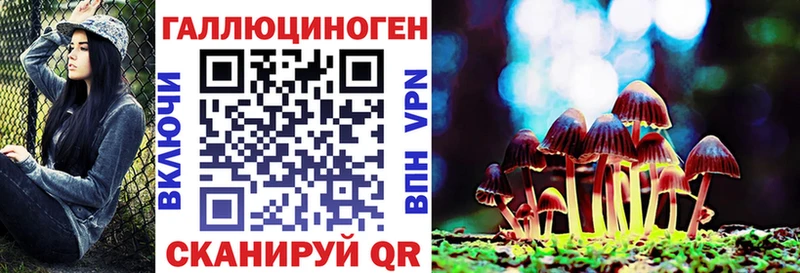 Купить где  Юрга  Псилоцибиновые грибы GOLDEN TEACHER 
